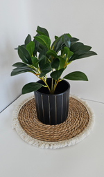 Куст мокламе / Арт 6390