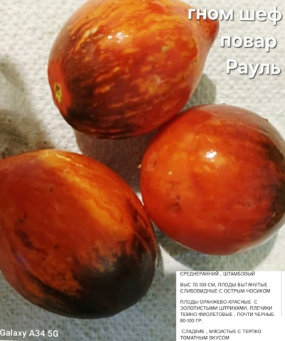 РАССАДА ТОМАТОВ ГНОМОВ ШЕФ ПОВАР РАУЛЬ