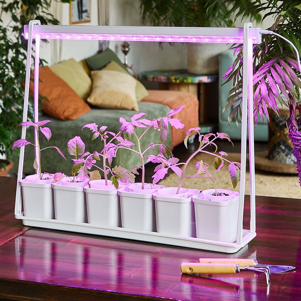 ULT-P56-10W-SPSB IP20 MARBLE ECONOM Набор Минисад. светильник для растений светодиодный с подставкой. Спектр для рассады и цветения. 6 кашпо в-к. мраморные. TM Uniel