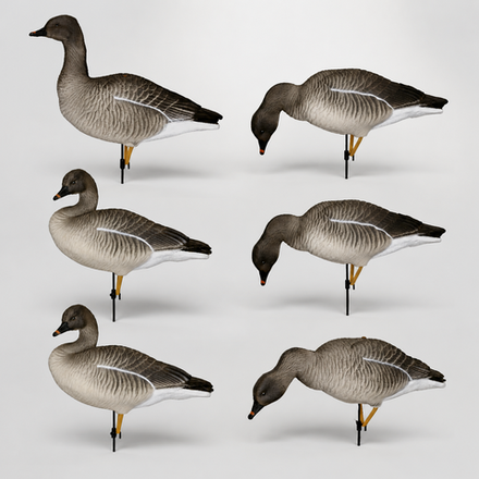 Гусь гуменник Duck Mania "ALFA"