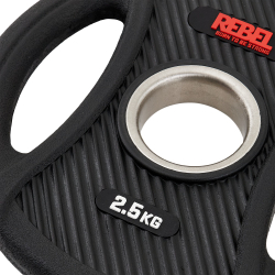 Диски олимпийские обрезиненные с двумя хватами 2,5 кг REBEL (пара)