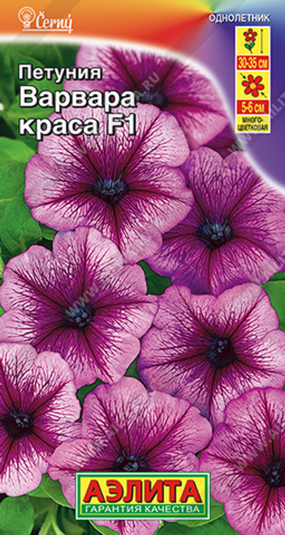 Петуния Варвара Краса F1 многоцветковая