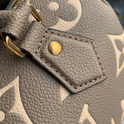 Louis Vuitton Speedy 20