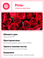 Классический букет 15 красных роз 50 см, без упаковки, под ленту