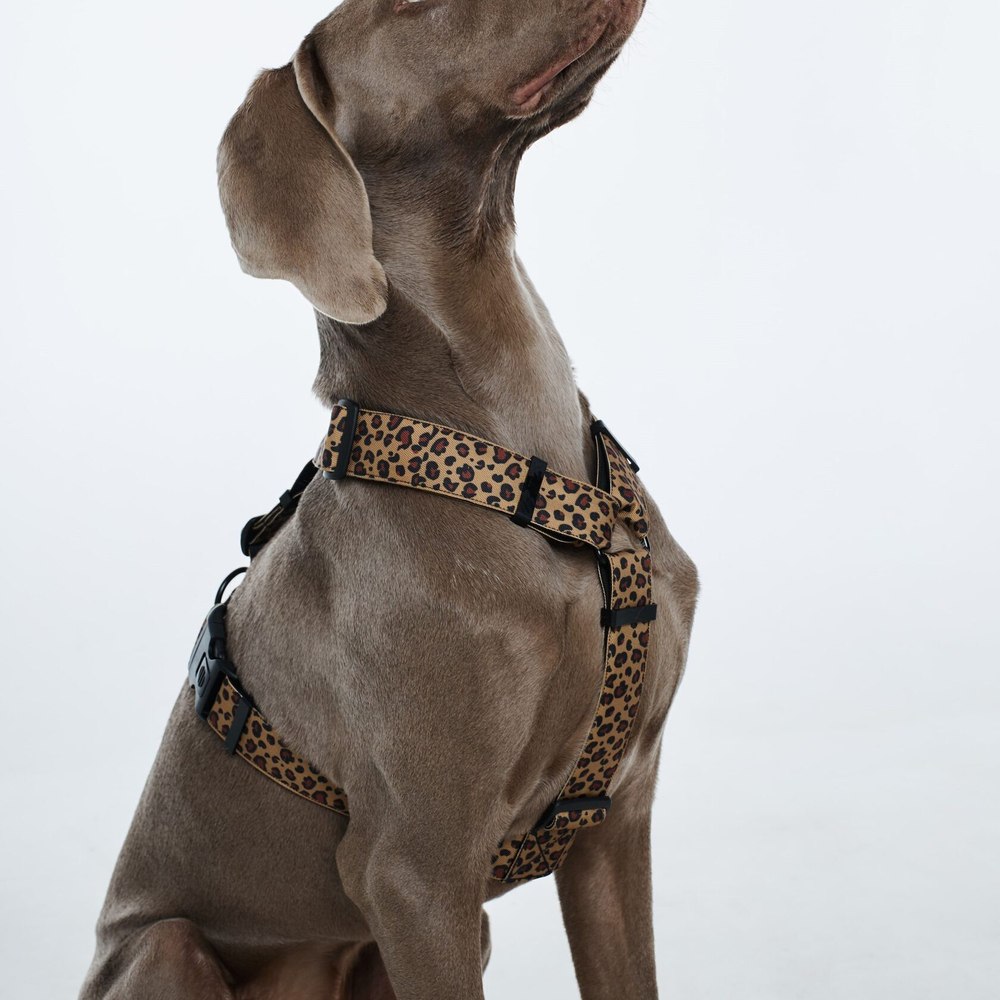 Шлейка Леопард+Розовый неон