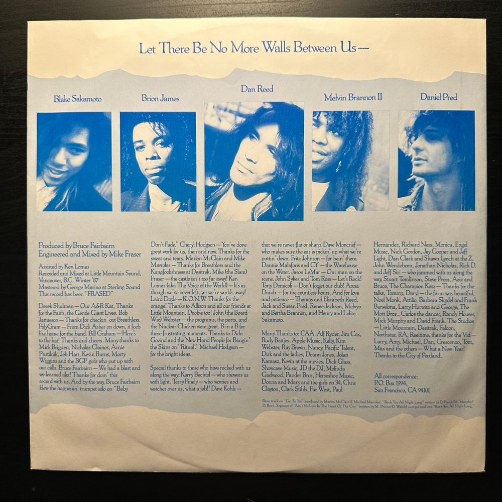 Dan Reed Network - Dan Reed Network (Голландия 1988г.)