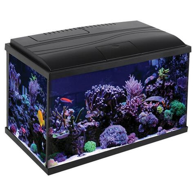 Аквариум Eclipse Dark, черный тонированный, 18,9л, 412*208*254мм, Laguna AQUA