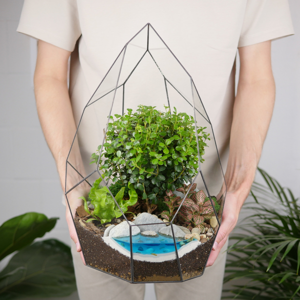 Флорариум бонсай Мирсина Айсберг с озером