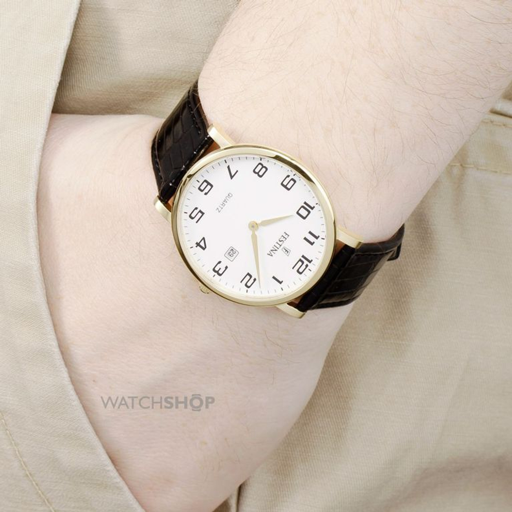 Мужские наручные часы Festina F16478/1