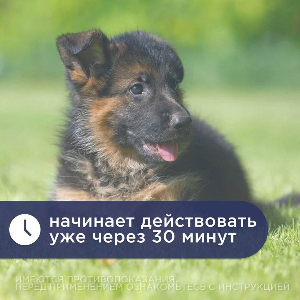 Курс Успокоин таблетки для собак средних и крупных пород 16 таб. Тразодон.