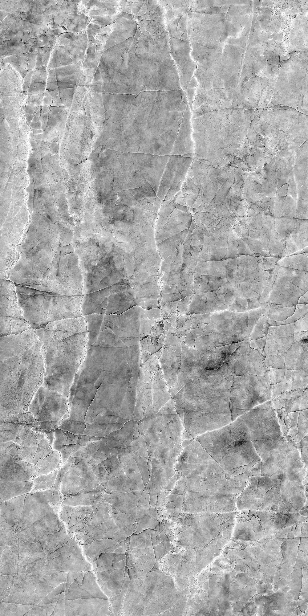 Шерл Сильвер