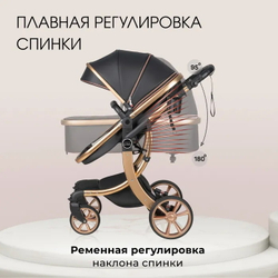 Коляска трансформер Aimile Adventurer черный