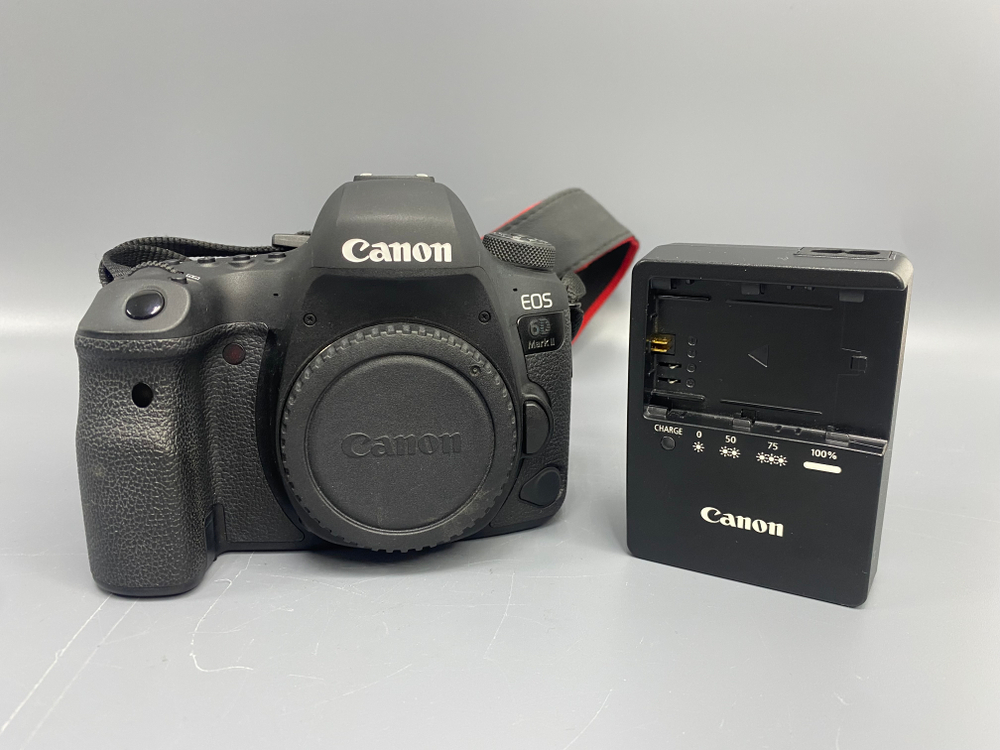 Canon 6D Mark II 32.500 кадров