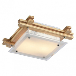 Накладной светильник Arte Lamp A6460PL-2BR