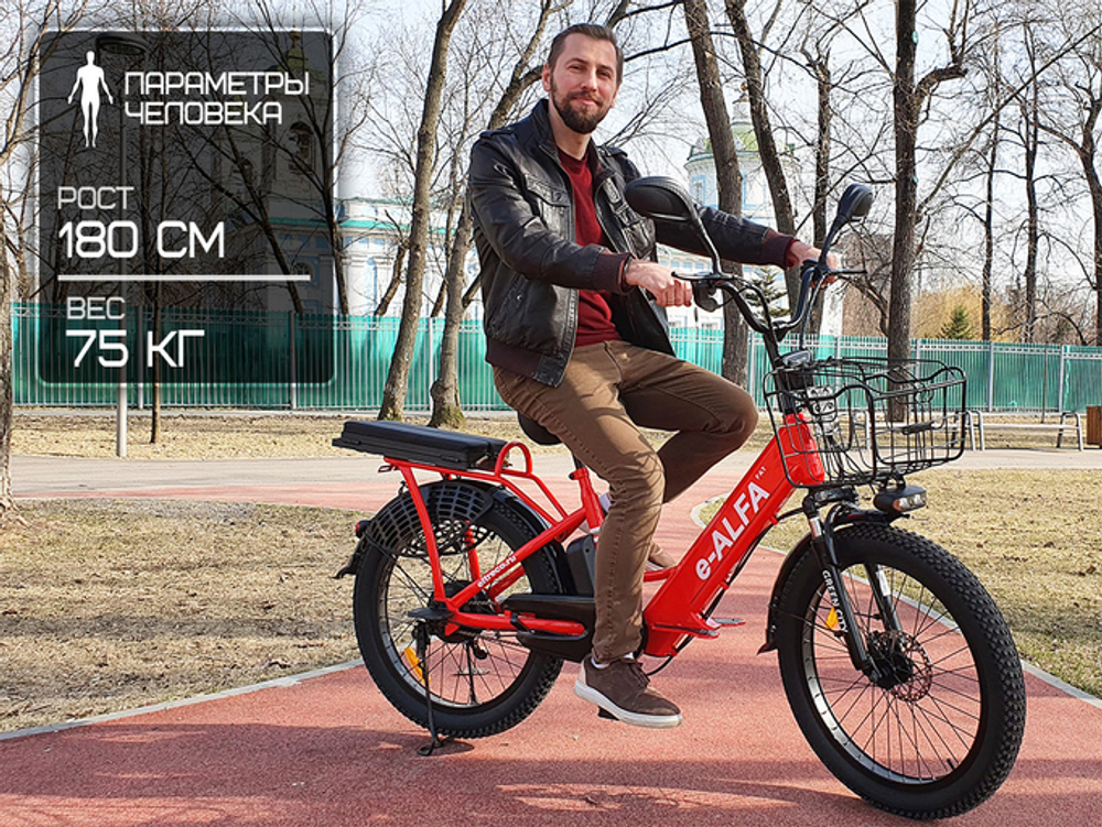 Электро фэтбайк GREEN CITY e-ALFA Fat (Eltreco)