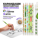 Набор черных простых заточенных карандашей, 12 шт, с ластиком, MC-Basir, с рисунком Авокадо, деревянные обычные чернографитные карандаши для начинающих, HB (твердо-мягкий), графитовые серые для школы