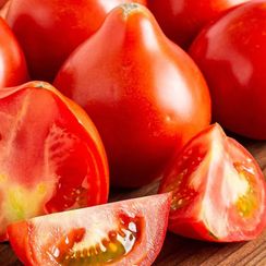 МАХИТОС F1 семена томата (Rijk Zwaan | Alexagro)