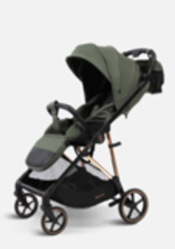 Peppy Коляска прогулочная Amici (Green) рама Black