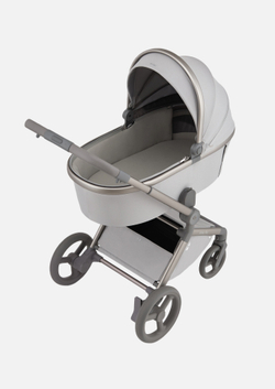 Anex Детская коляска Flo 2 в 1 Frossy