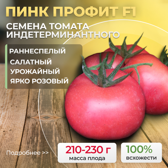 ПИНК_ПРОФИТ_F1_семена_томата_Sakata_купить_семена