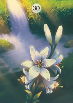 Оракул Ленорман. Растения и травы