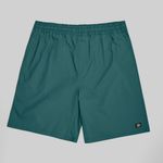  Шорты мужские Dickies Skateboarding 9