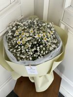 Авторский букет из ромашек и гипсофилы