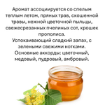 Мёд липовый, кубики восковые для ароматизации, 10 штук