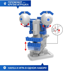 Робототехника «Головобот»