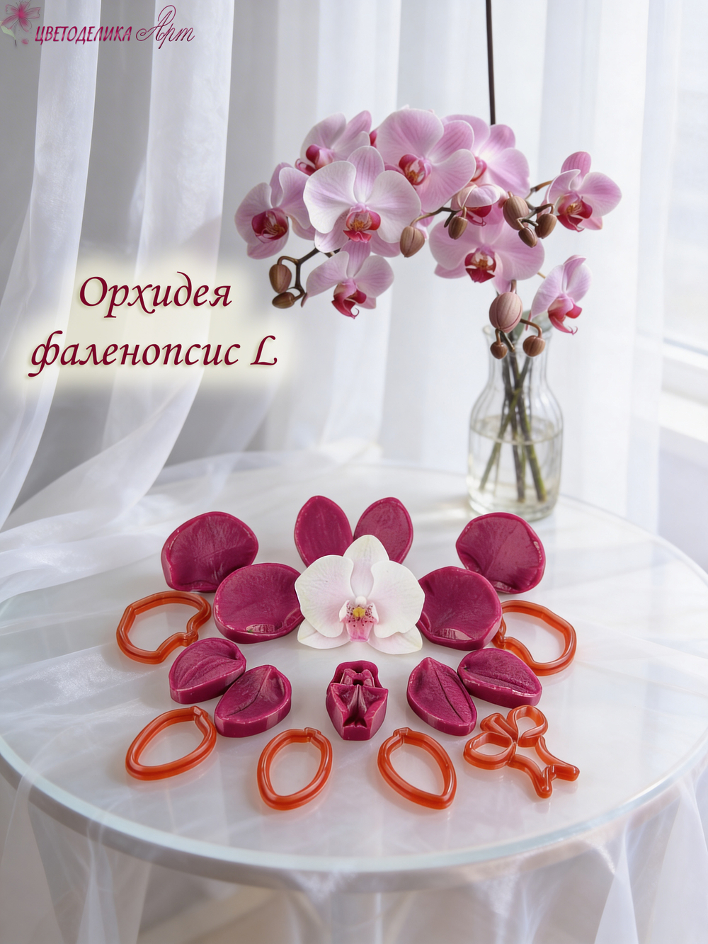 Орхидея фаленопсис L