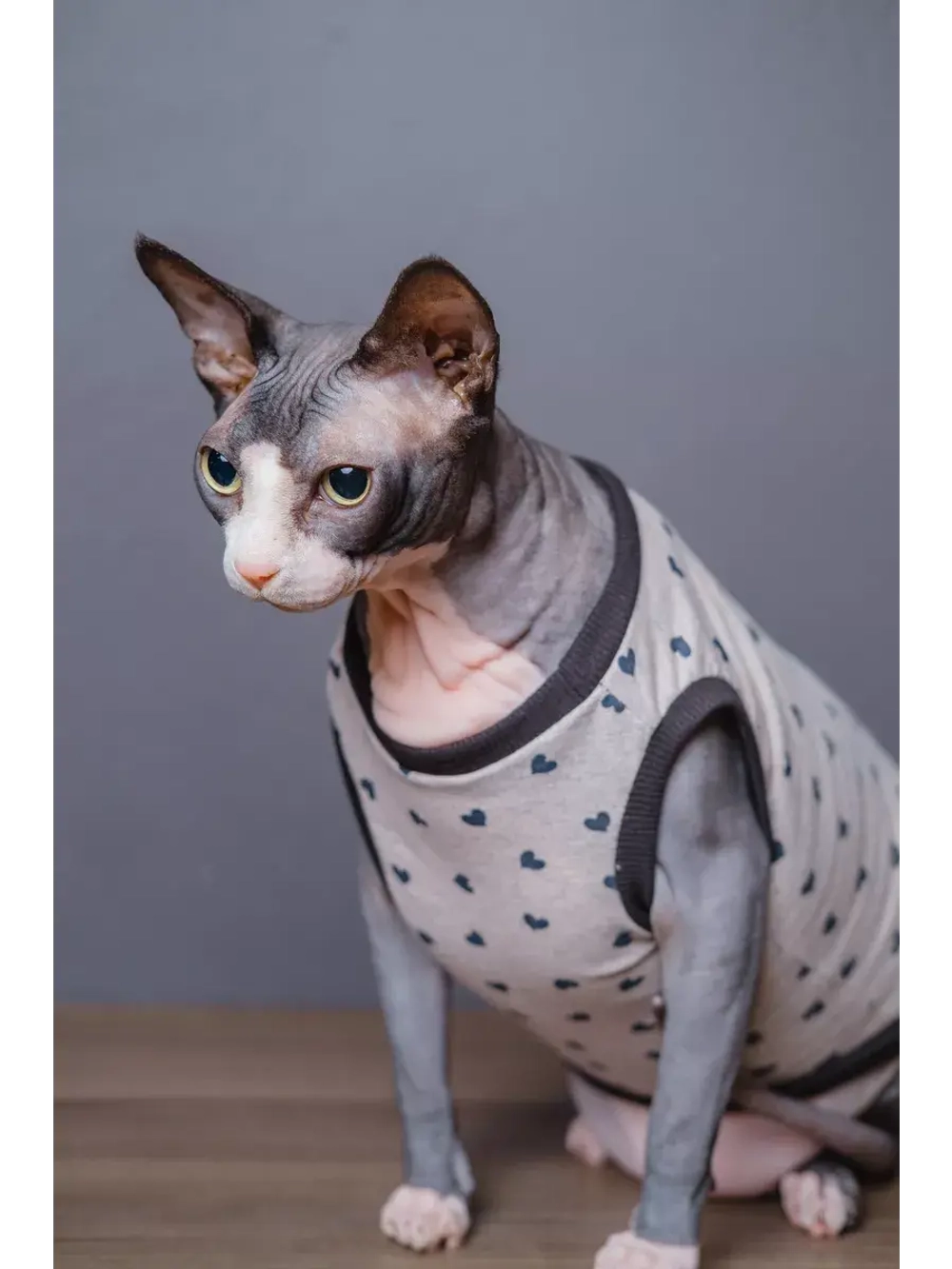 Майка для собак и кошек