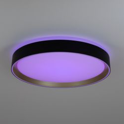 Citilux BOSS CL751351G LED RGB Светильник с пультом Чёрный с Золотом
