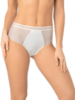 Трусики-слипы с широким бочком из кружева с сетчатой структурой (Размер: XXL) (Цвет: молочный)