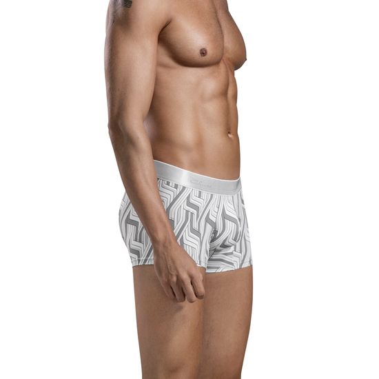 Мужские трусы хипсы серые с принтом Clever LAZOS TRUNKS 169012