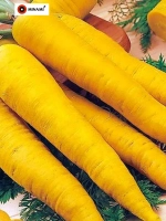 Морковь столовая Для плова желтая 8,5гр (5100шт)