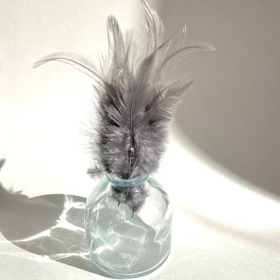 Перья петуха темно-серые 7 - 13 см. 20 шт.