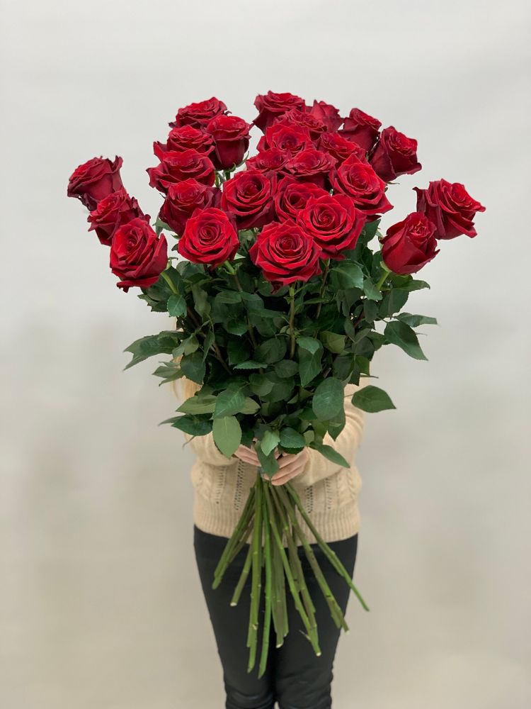 Букет 25 метровых роз красные в ленте