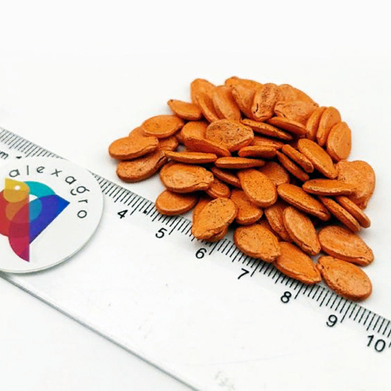 ЮЛИЯ F1 семена арбуза (Nunhems | Alexagro) – фото 10