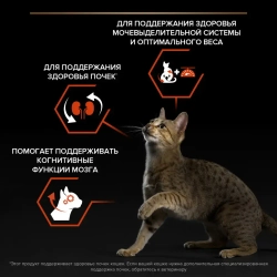 Pro plan cat adult sterilised vital functions сухой корм для стерилизованных кошек для поддержания функций почек, мозга и иммунитета, с высоким содержанием лосося - 400 г