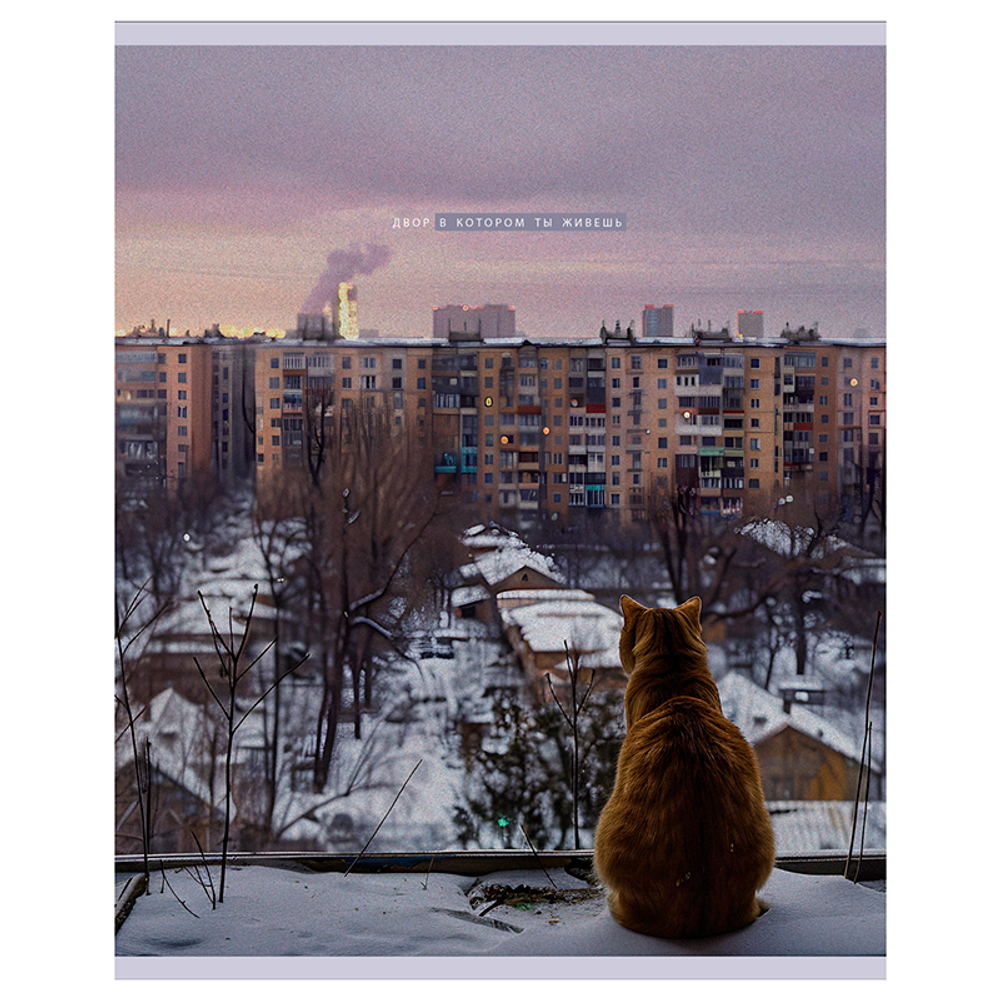 Тетрадь общая BG "Двор", А5, 48 листов в клетку, на скрепке