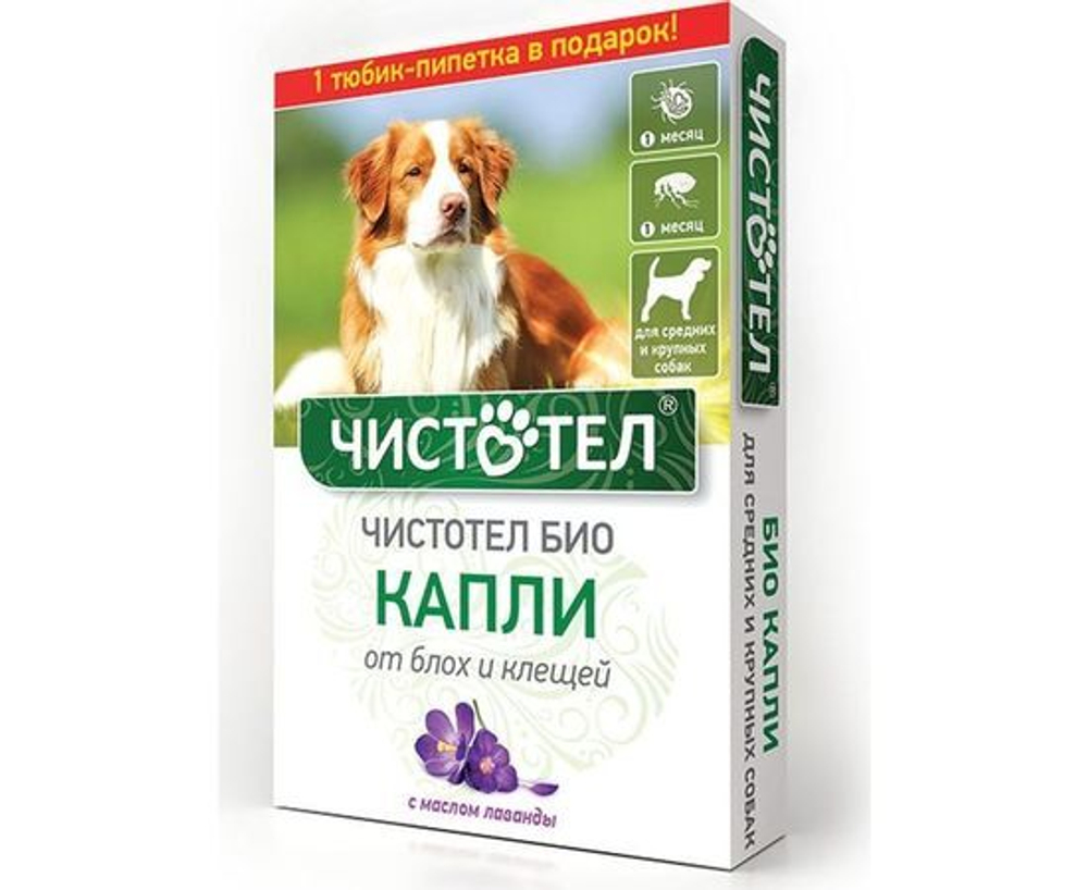 Био Капли от блох и клещей для средних и крупных собак ЧИСТОТЕЛ, лаванда, 2 пипетки по 2,5 мл