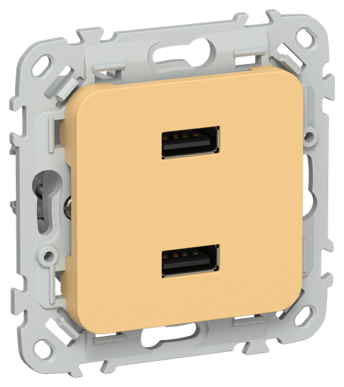 FLITE Розетка USB A+A 3,1А РЮ-2-ФлЗ золотарник IEK