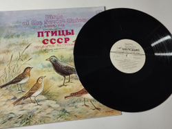 Винтажная виниловая пластинка LP Птицы СССР Определитель По Голосам Воробьиные: Жаворонки, Коньки (СССР 1986)