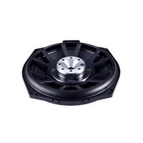 Штатная акустика STEG