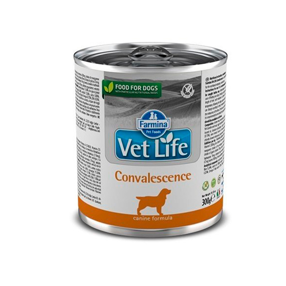 Влажный корм Farmina Vet Life Dog Convalescence, для собак в период восстановления, 300 г