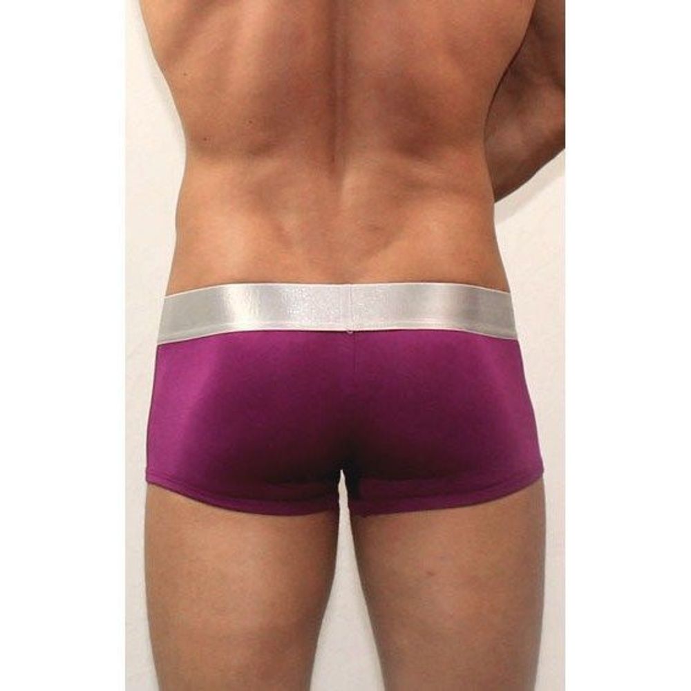 Мужские трусы боксеры модальные фиолетовые Calvin Klein Violet Modal Trunks