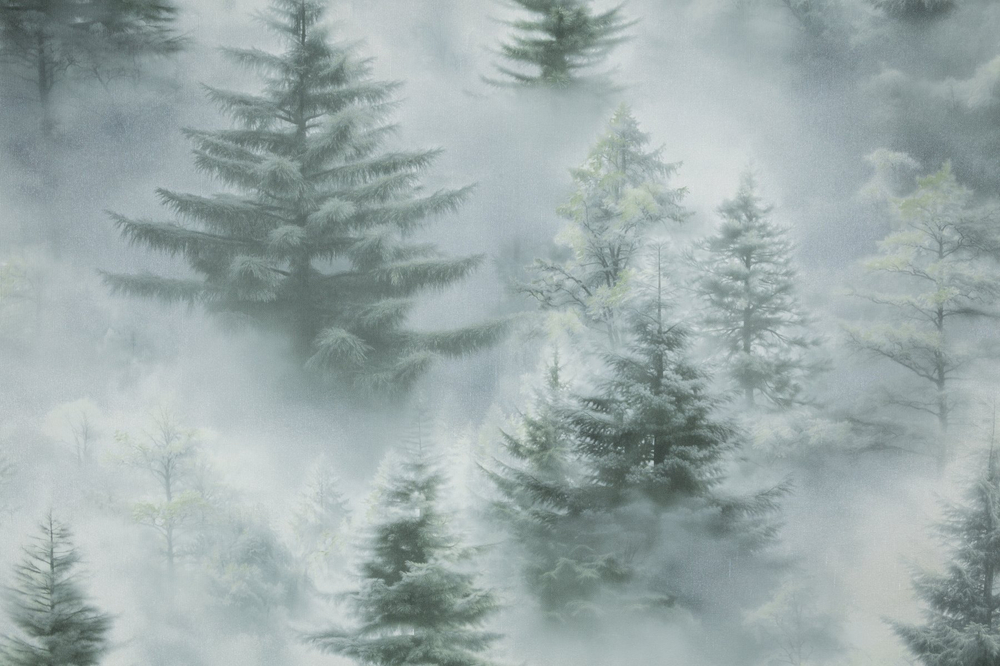 Palitra 1,06 м 72551-71