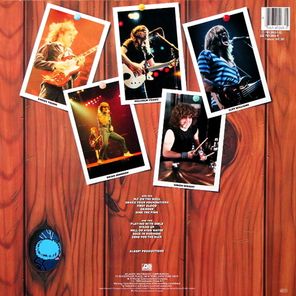 AC/DC / Fly On The Wall (LP)