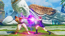 Street Fighter V - Season 5 Premium Pass (для ПК, цифровой код доступа)