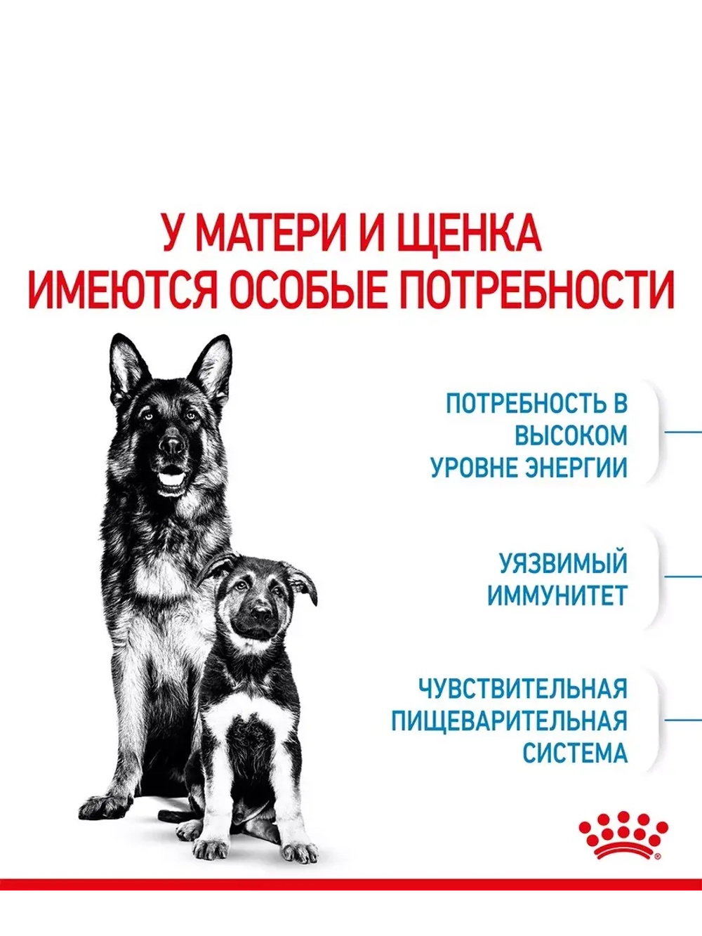 MAROYL CANIN XI STARTER MOTHER & BABYDOG 1-2months PRO (РОЯЛ КАНИН МАКСИ СТАРТЕР МАЗЕ ЭНД БЭБИДОГ 1-2 месяца корм сухой для собак Maxi Starter 18 кг.